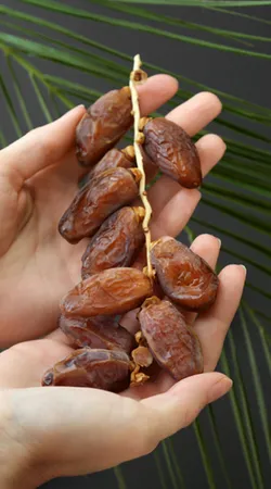 খেজুরের উপকারিতা জেনে নিন