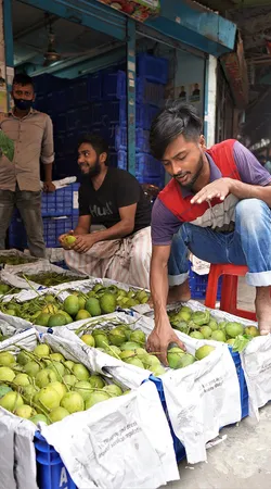 বাদামতলী বাজারে চলছে মৌসুমি ফল আমের বিকিকিনি