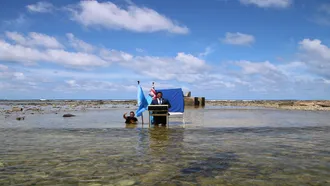 Tuvalu minister stands in sea to film COP26 speech