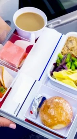 সুস্বাদু খাবারের জন্য পরিচিত ৫ এয়ারলাইন্স
