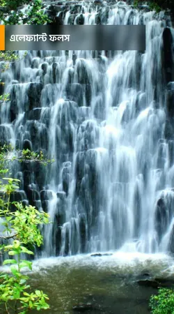 শিলং ভ্রমণে ১০টি দর্শনীয় স্থান | 10 famous tourist spot in Shillong