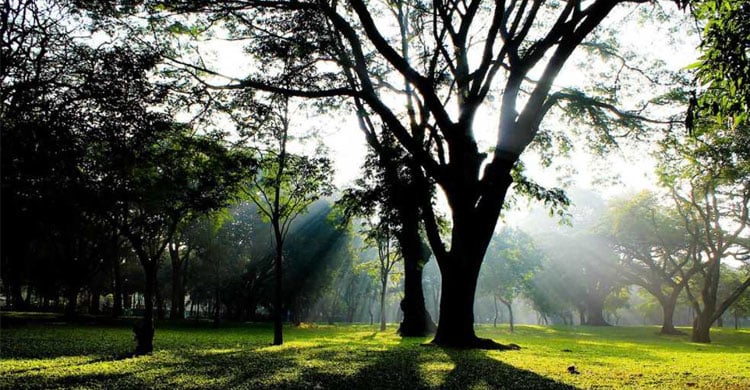 Dhaka Post