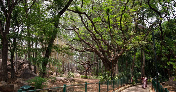 Dhaka Post