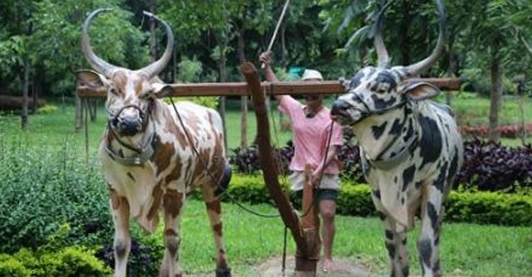 Dhaka Post