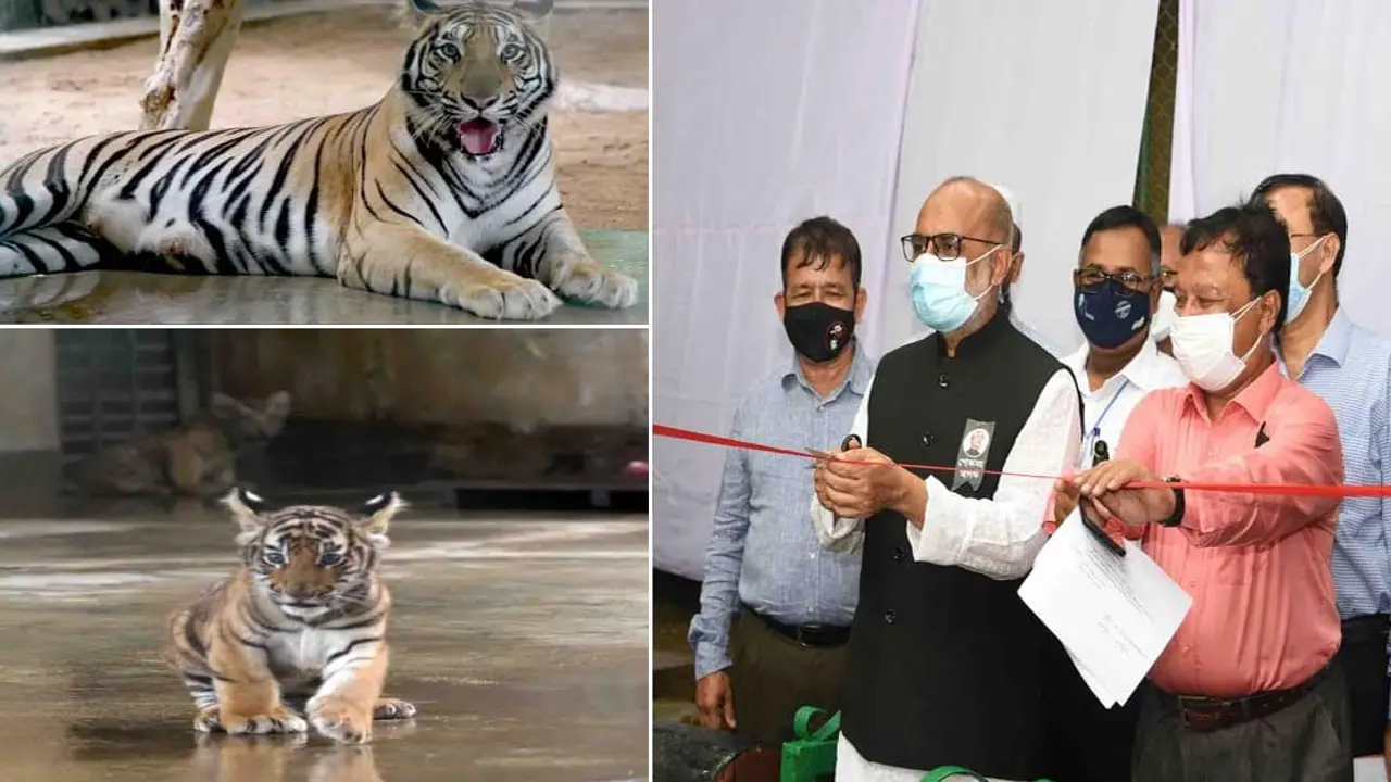 চিড়িয়াখানায় নতুন আকর্ষণ দুর্জয়-অবন্তিকা