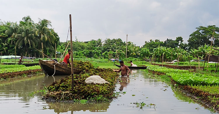 Dhaka Post