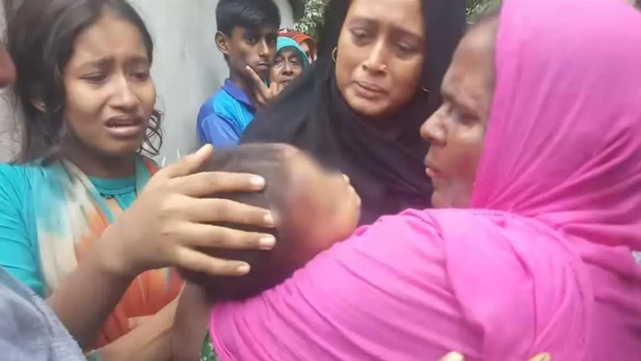 ভিমরুলের কামড়ে প্রাণ গেল ৩ বছরের শিশুর