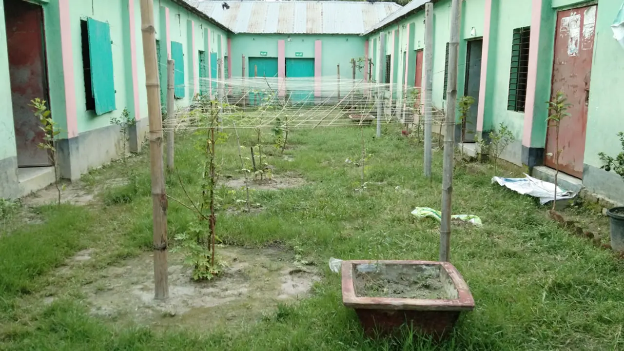 বন্ধ স্কুল মাঠে সবজি চাষ