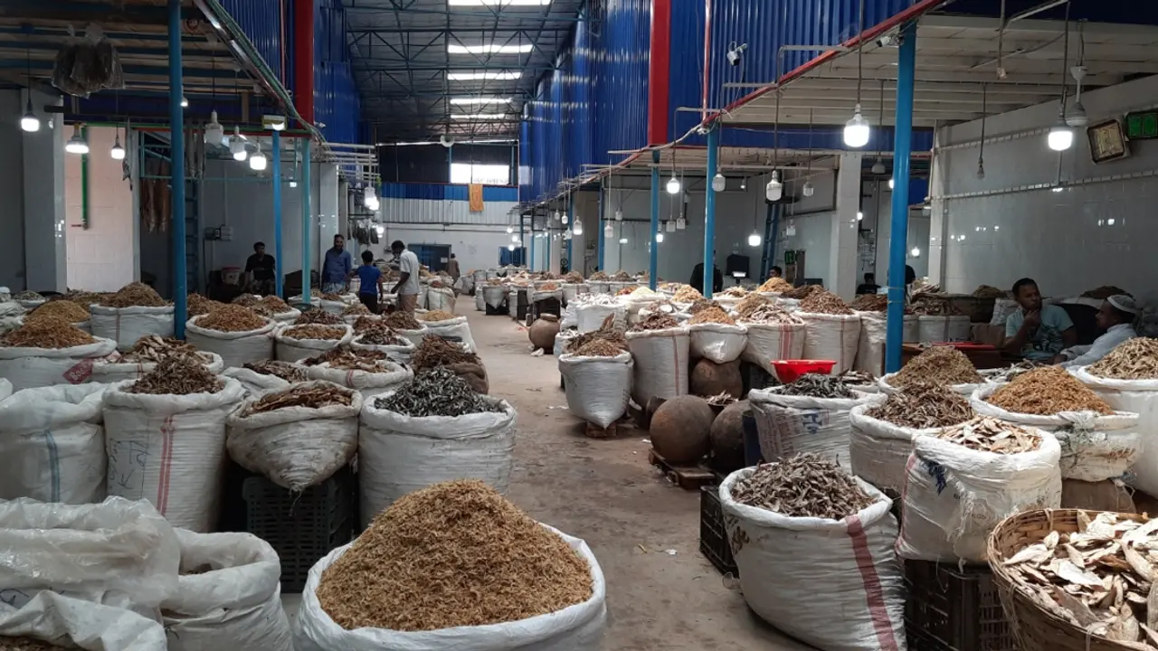 চাঙ্গা হচ্ছে করোনায় বিপর্যস্ত শুঁটকির বাজার