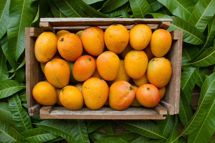 Dhaka Post