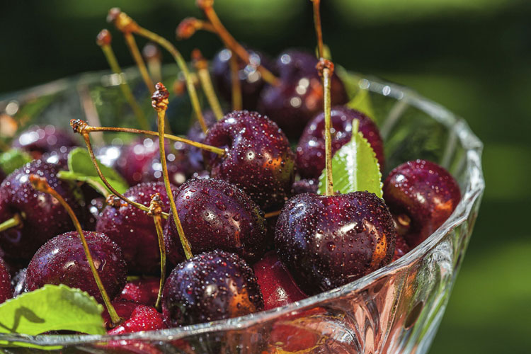 Dhaka Post