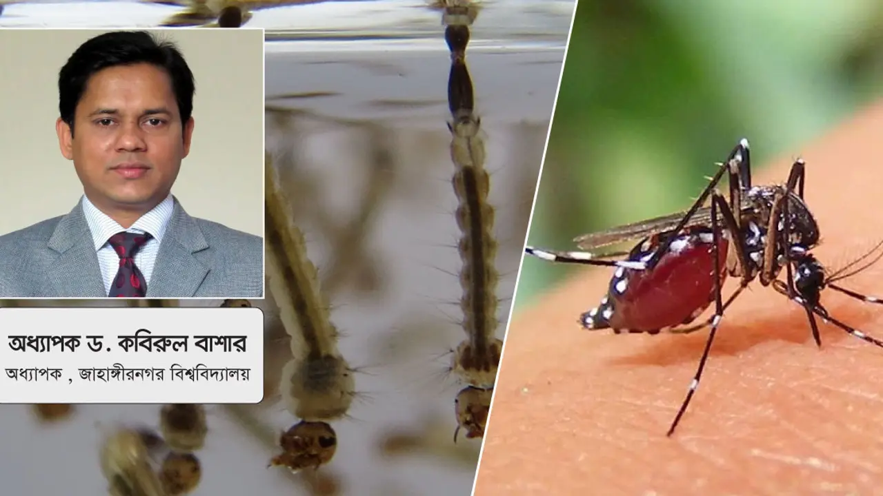 ডেঙ্গু থেকে রক্ষা পেতে নগরবাসীর করণীয়