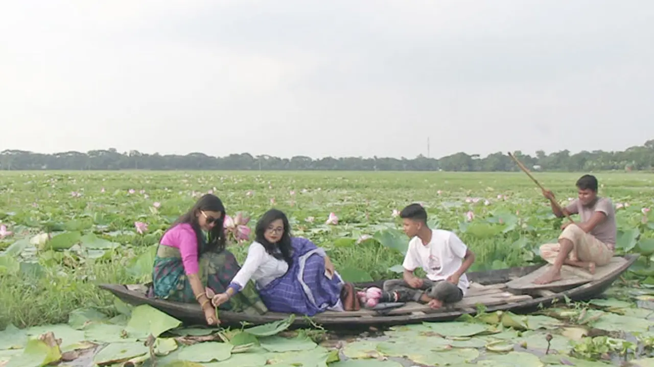 মুগ্ধতা ছড়াচ্ছে তাড়াইলের পদ্মবিল