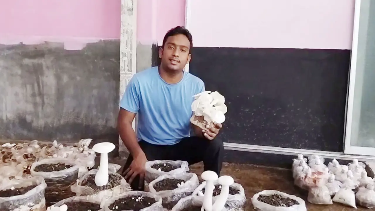 প্রশিক্ষণের ৫০০ টাকা থেকে শত কোটি টাকার মালিক বাবুল