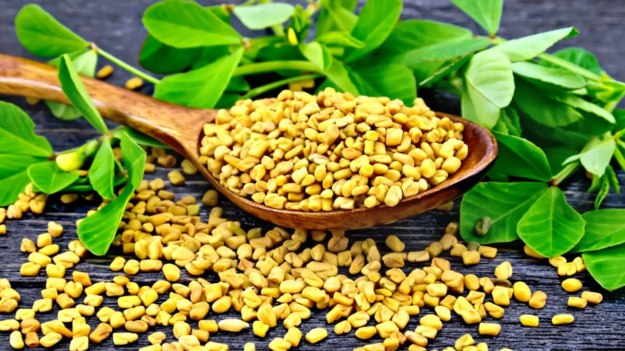 মেথি খাওয়ার নিয়ম ও উপকারিতা জেনে নিন