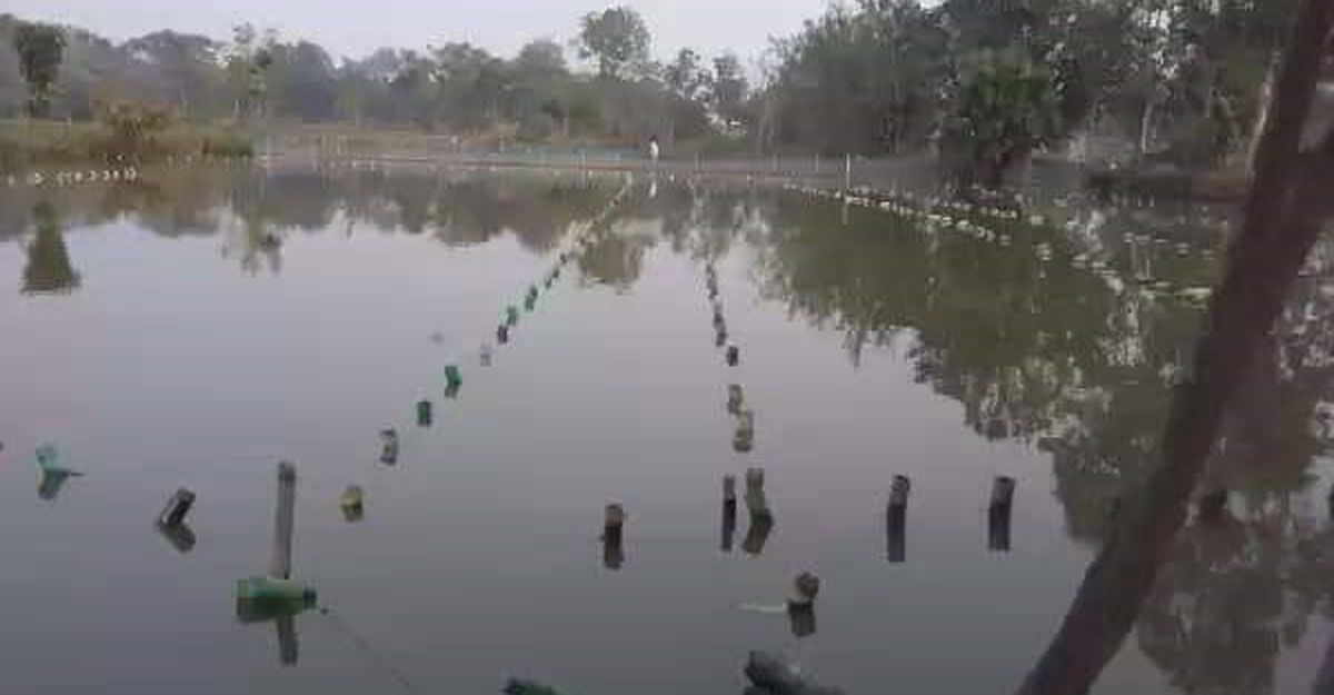 dhakapost