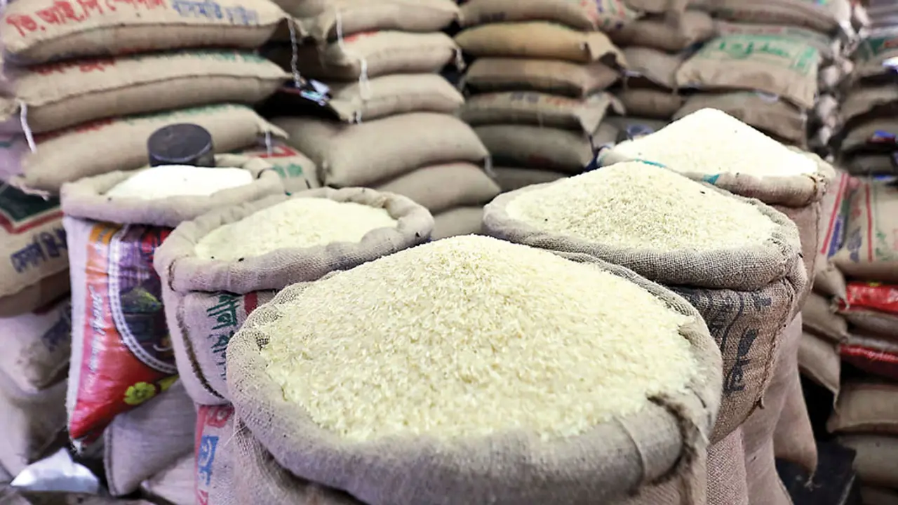 আরও ৭৯ প্রতিষ্ঠান পেল ১ লাখ টন চাল আমদানির অনুমতি