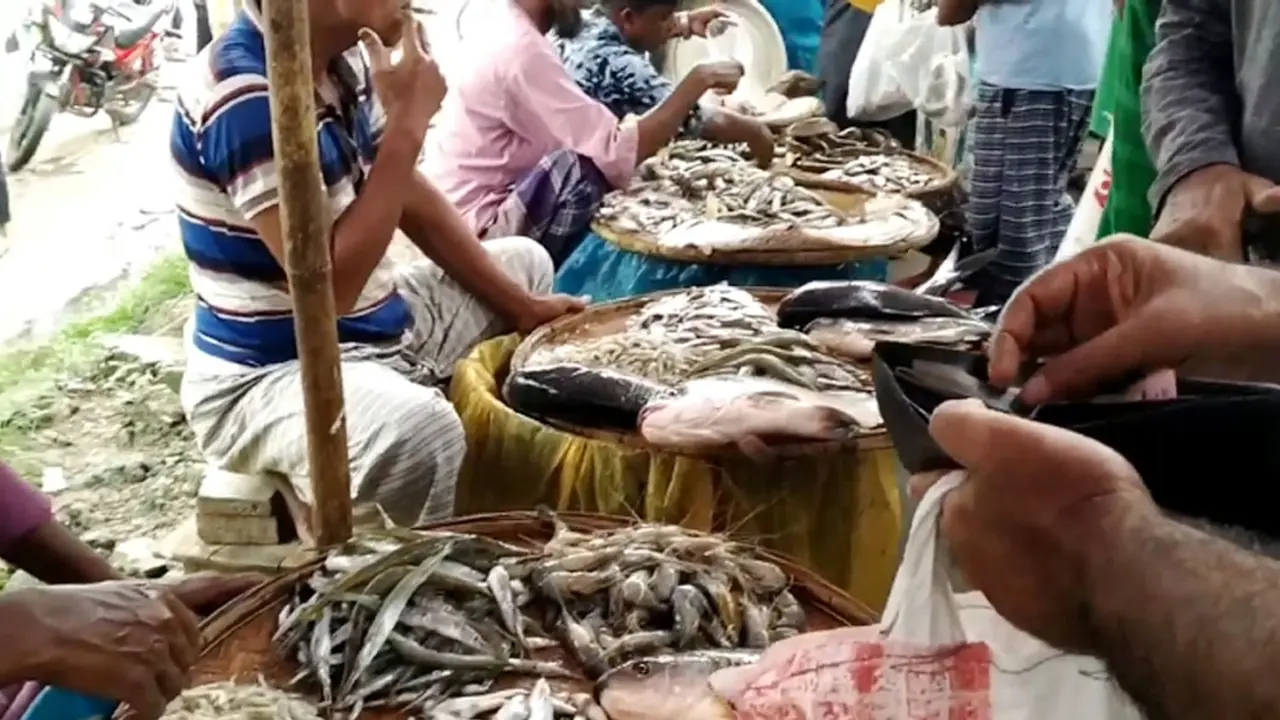 বালিখোলা বাজারে প্রতিদিন বেচাকেনা হয় কোটি টাকার মাছ