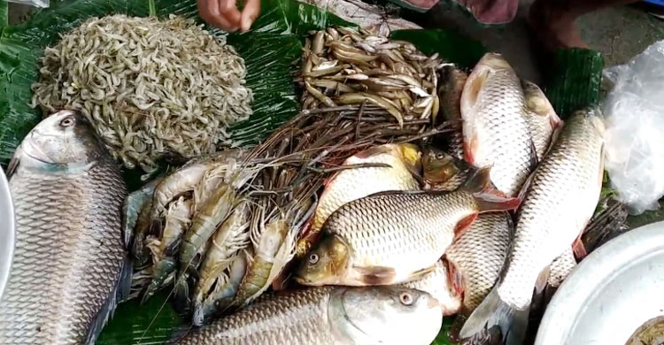 বিক্রেতারা মাছের পসরা সাজিয়ে বসেন