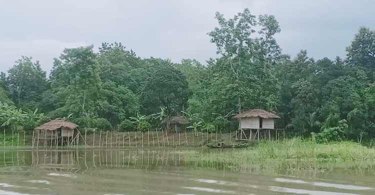 Dhaka Post
