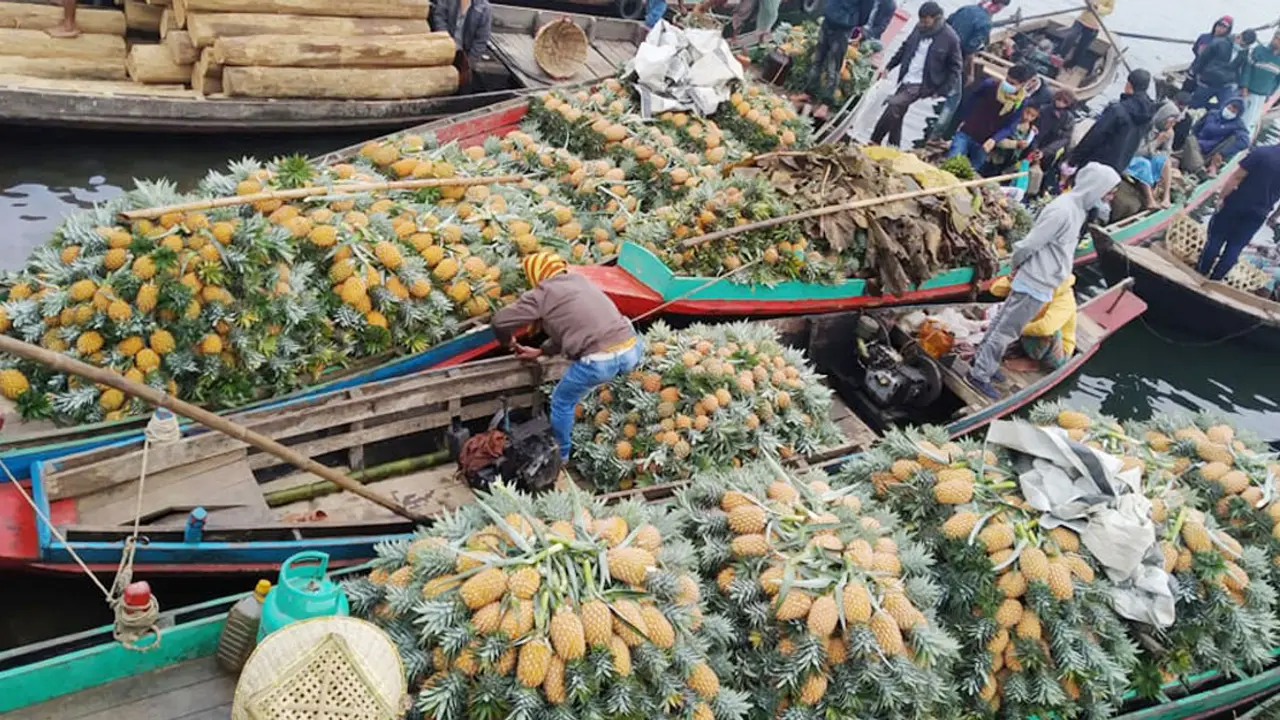 রাঙামাটিতে প্রতি পিস আনারস ৯ টাকা