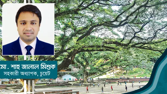 চট্টগ্রামের সিআরবি: প্রাকৃতিক অক্সিজেন নাকি হাসপাতালের সিলিন্ডার?