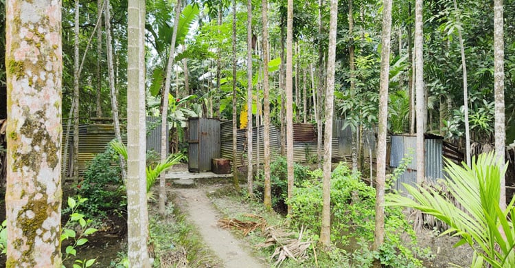 Dhaka Post