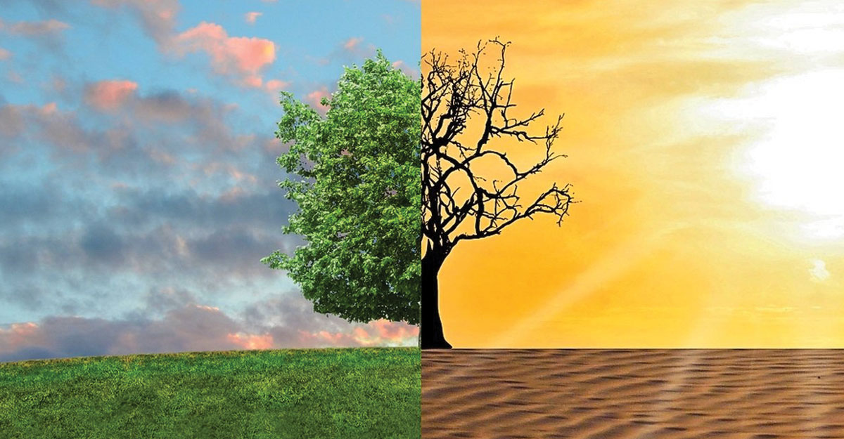 জলবায়ু পরিবর্তন প্রকল্পে কাজ করতে চান?