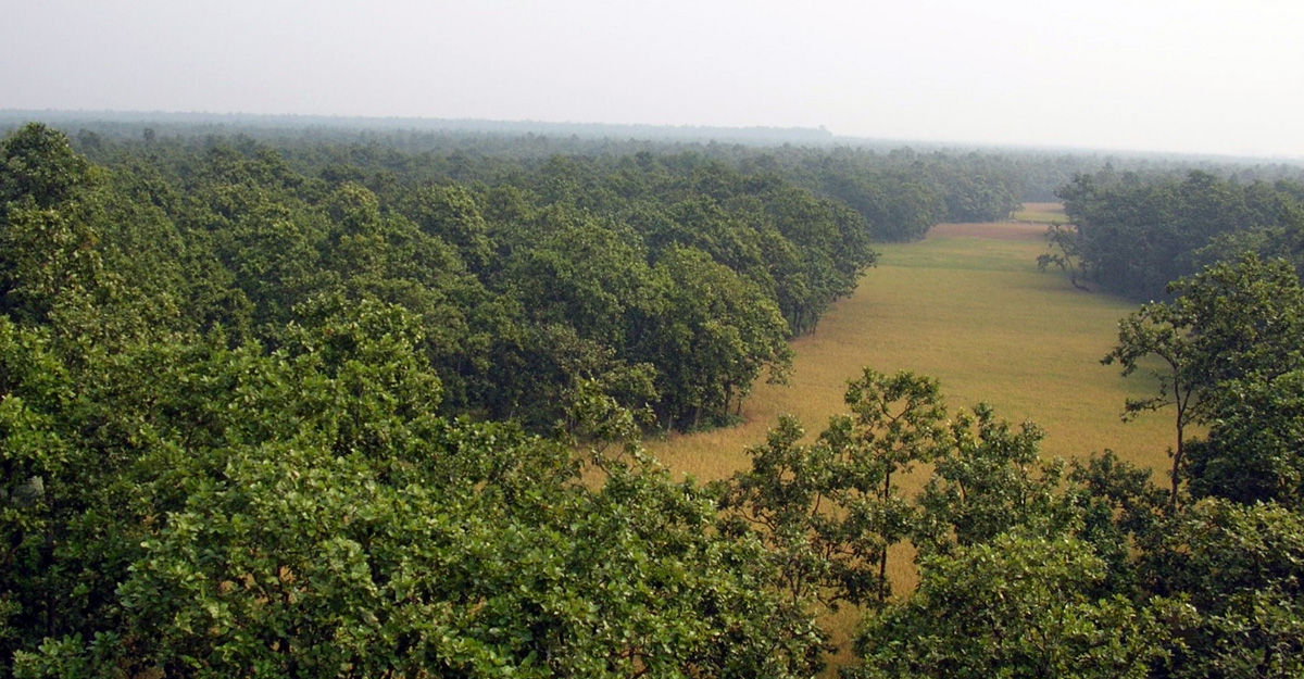 dhakapost