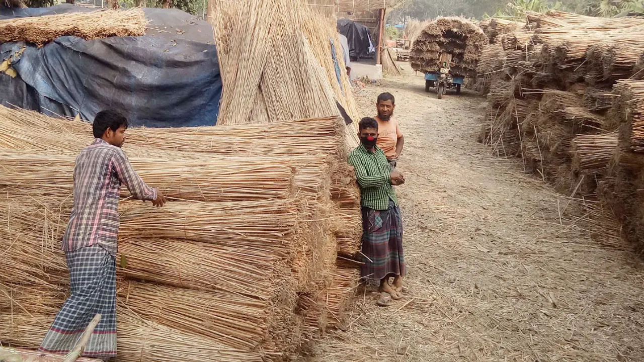 পাটখড়ির ছাইয়ে আয় ২৫ কোটি টাকা