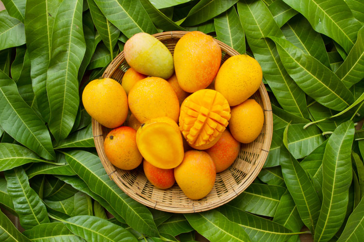 Dhaka Post