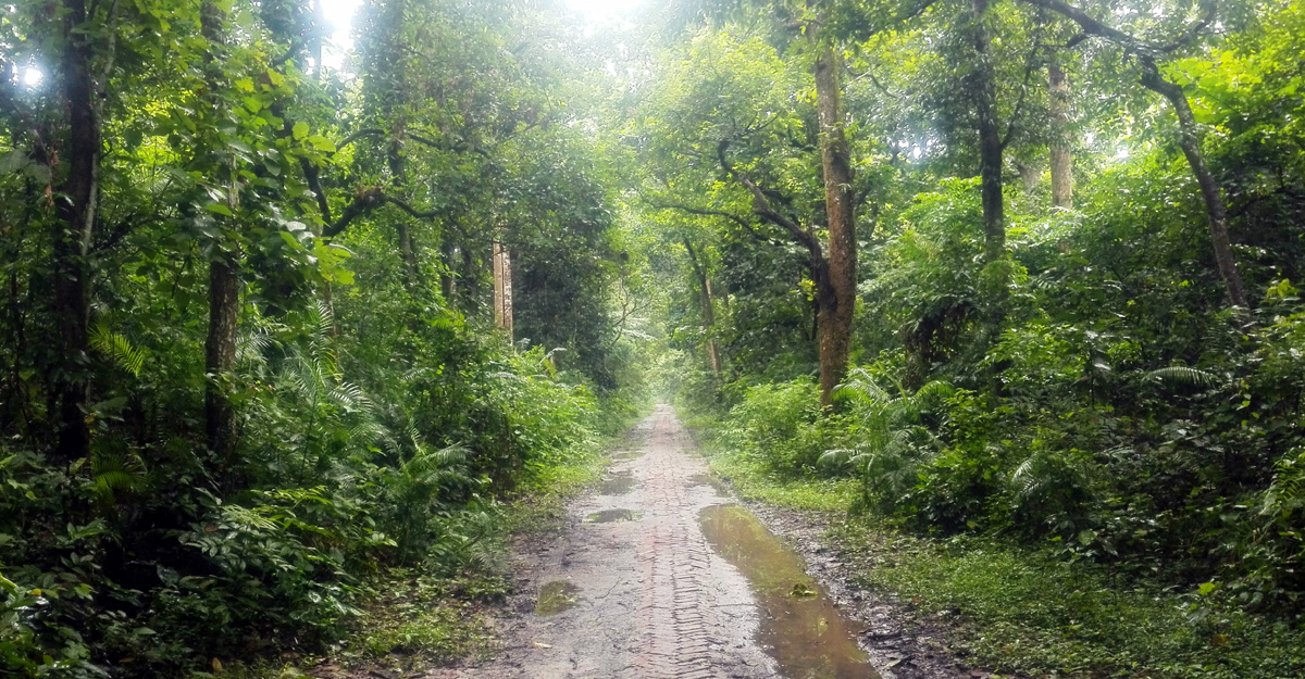 dhakapost