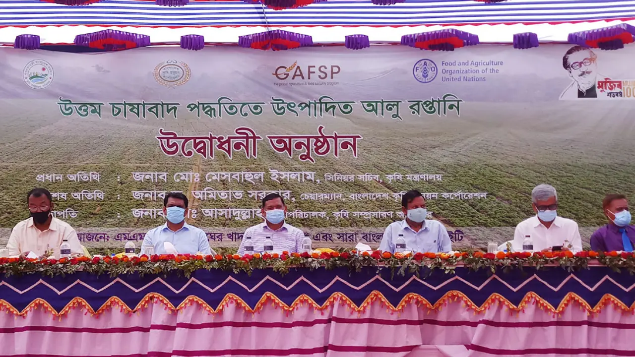 রংপুর থেকে ২ লাখ মেট্রিক টন আলু যাবে মালয়েশিয়া
