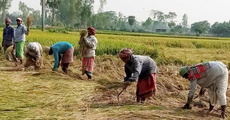 Dhaka Post