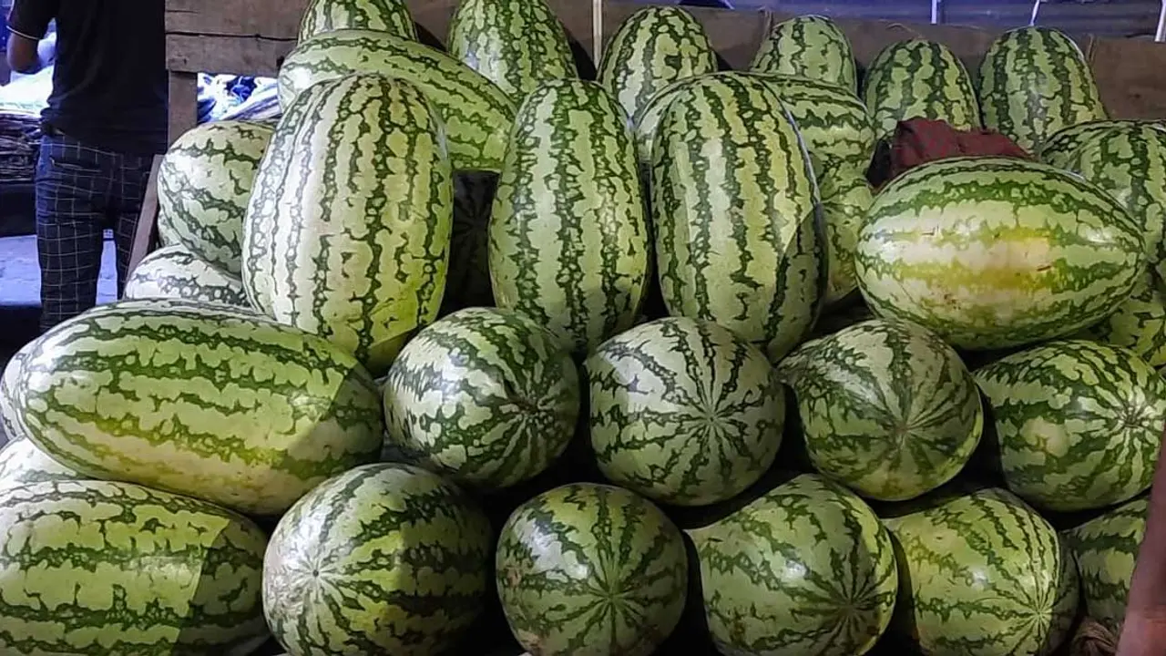 ব্যবসায়ীদের কারসাজিতে তরমুজে ভেলকিবাজি