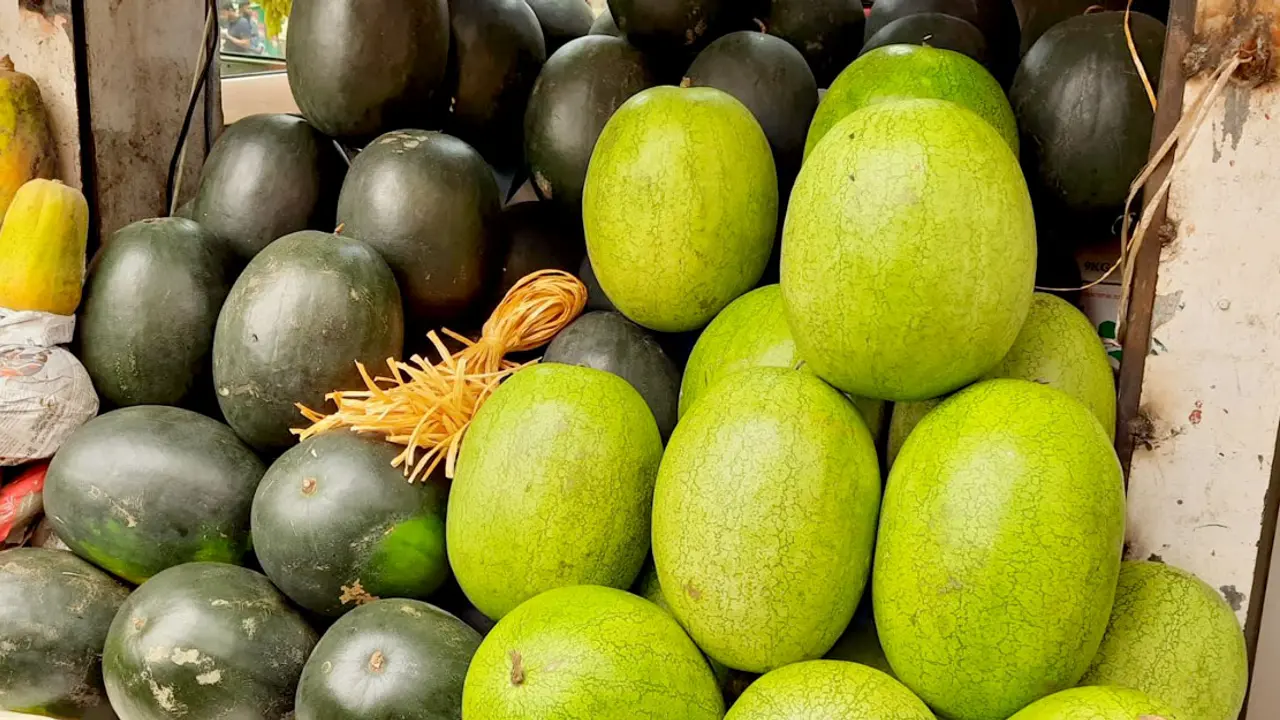 বাজারে আসছে তরমুজ, দাম চড়া