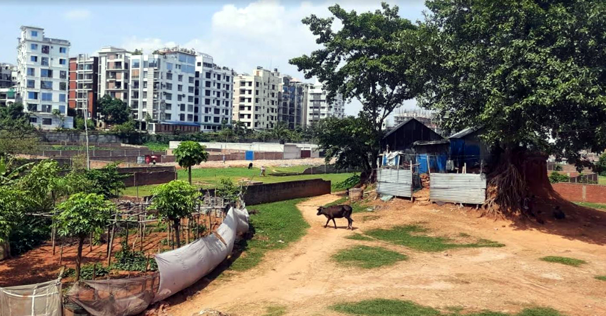 Dhaka Post