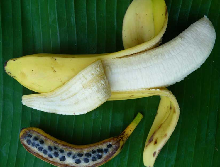 Dhaka Post
