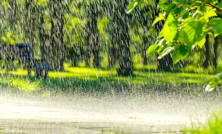 Dhaka Post