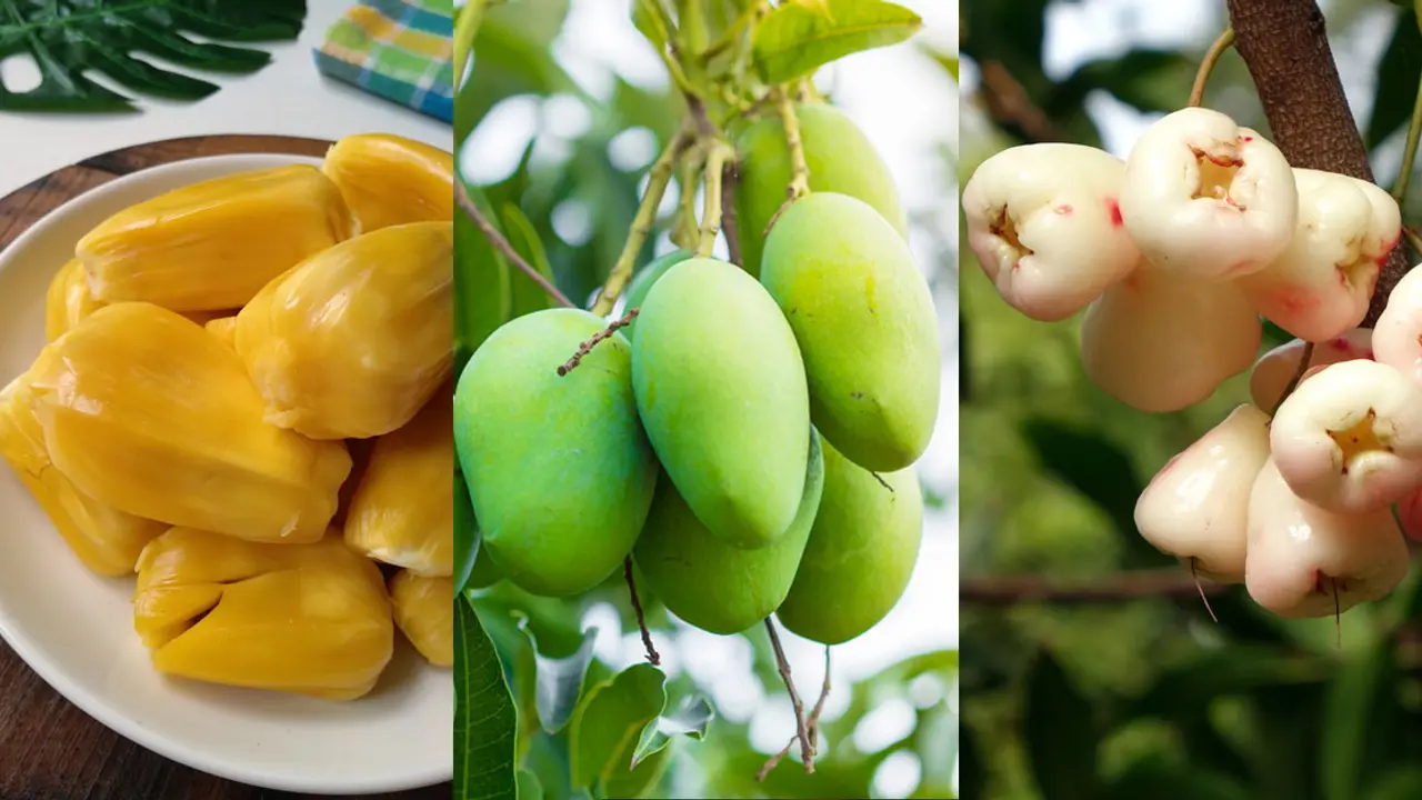 মৌসুমী ফল খাওয়া জরুরি কেন?