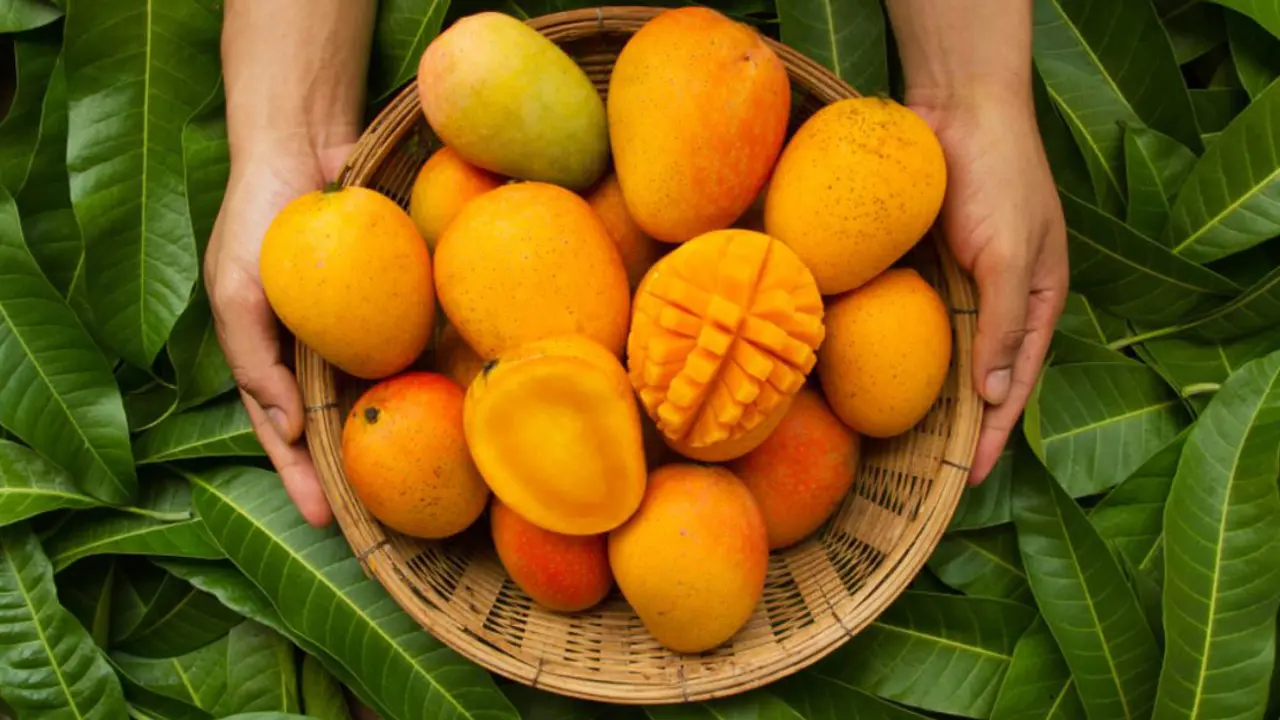 আমের যত উপকারিতা