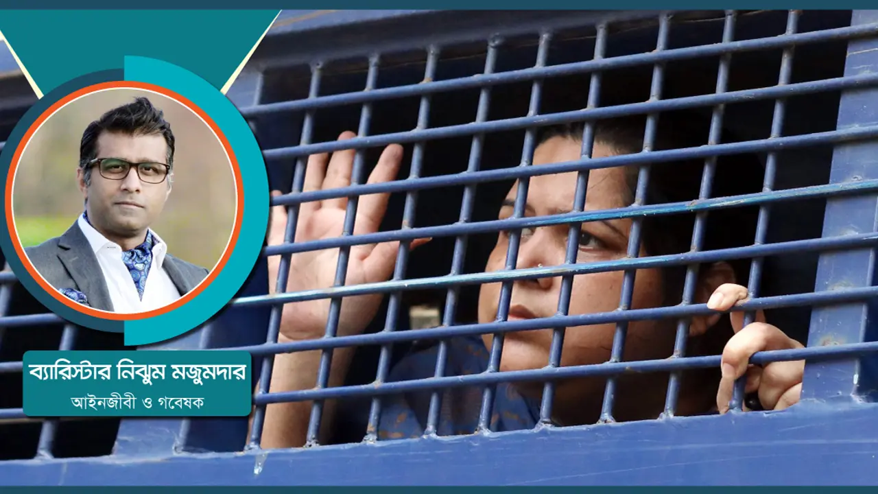 অফিসিয়াল সিক্রেটস অ্যাক্ট, রোজিনা ইসলাম ও আইনি পর্যবেক্ষণ