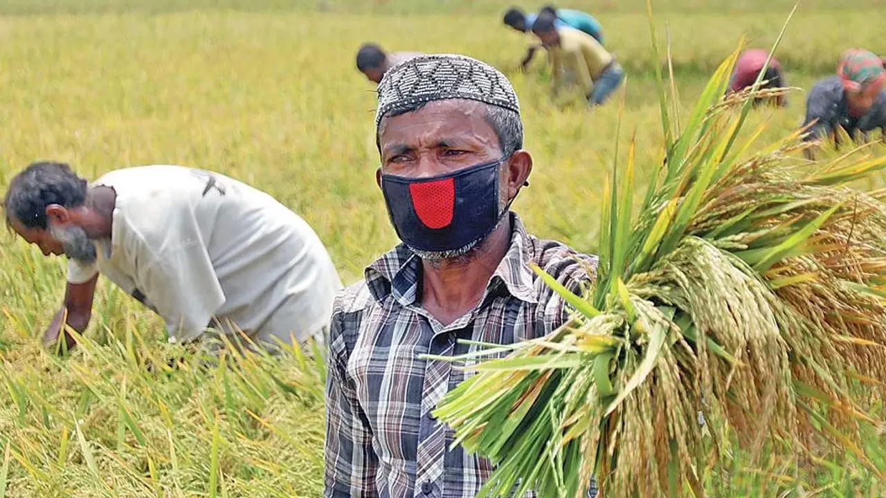 সরকারি প্রণোদনার সুবিধাভোগী ১ কোটি ২৪ লাখ গ্রাহক