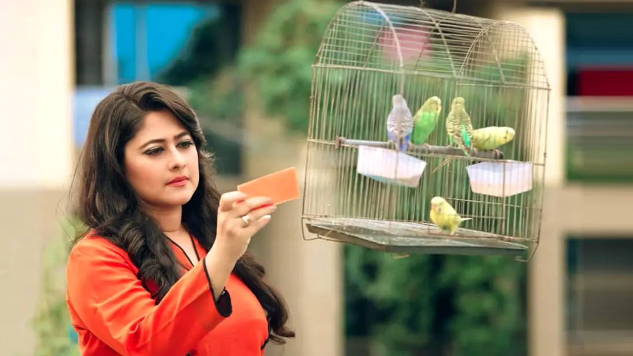 সুমাইয়া শিমু তিন বছর অভিনয় থেকে দূরে ছিলেন কেন?