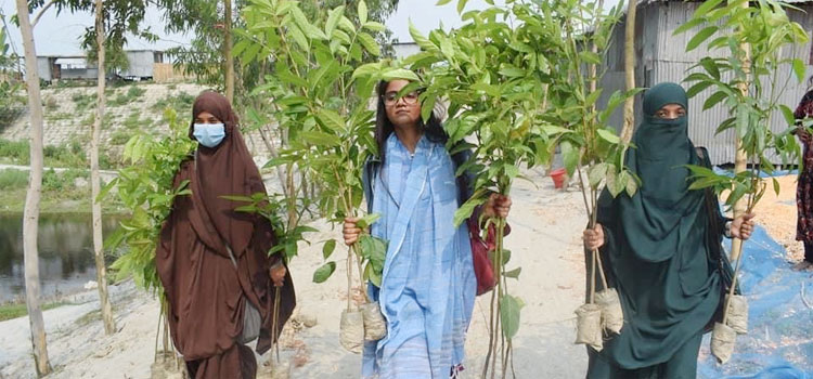 Dhaka Post