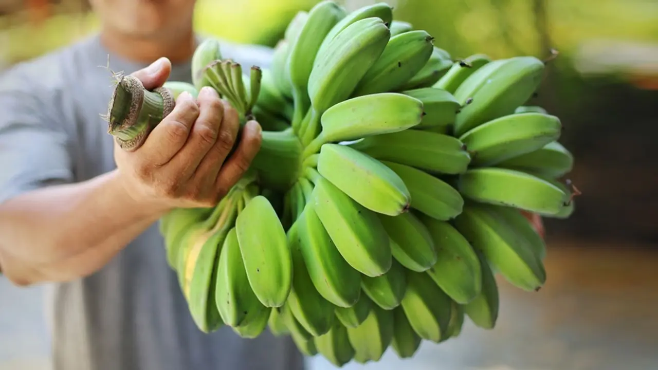 কাঁচকলা কি ওজন কমায়?