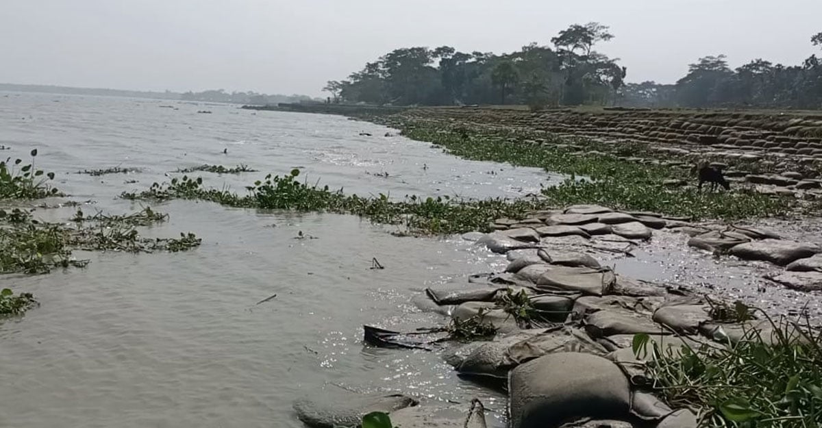 Dhaka Post