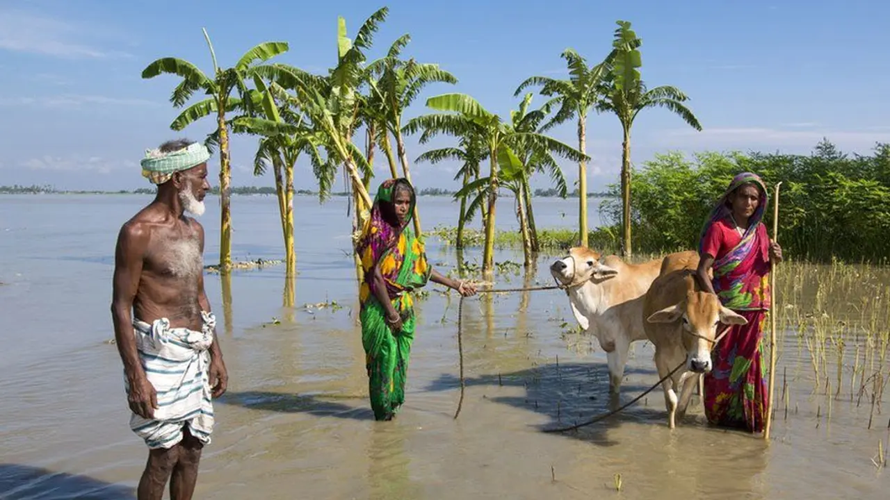 COP26: দরিদ্র দেশগুলোকে ৩৩৫০ কোটি টাকা দেবে যুক্তরাজ্য
