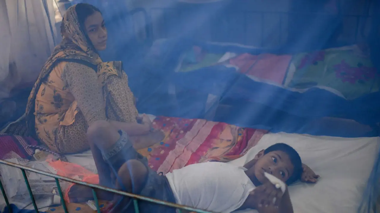 জাওয়াদের প্রভাবে বাড়তে পারে ডেঙ্গু, আশঙ্কা স্বাস্থ্য অধিদফতরের