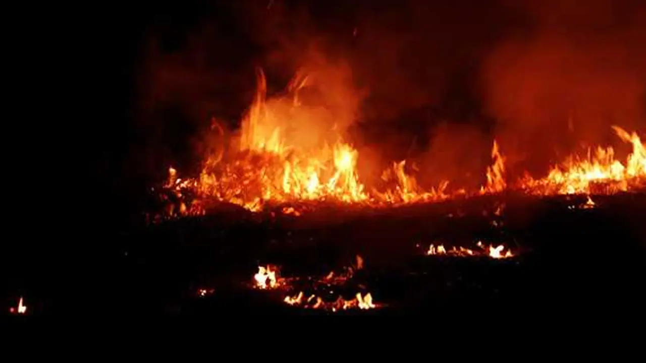 শ্রেণিকক্ষে আগুনে পুড়ে মারা গেল ২৬ শিশু
